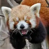 笑容邪恶男生头像微信头像图片大全