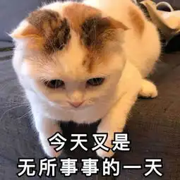 欢笑集锦像我这样吹nb,又爱幻想的人,是不是没救了
