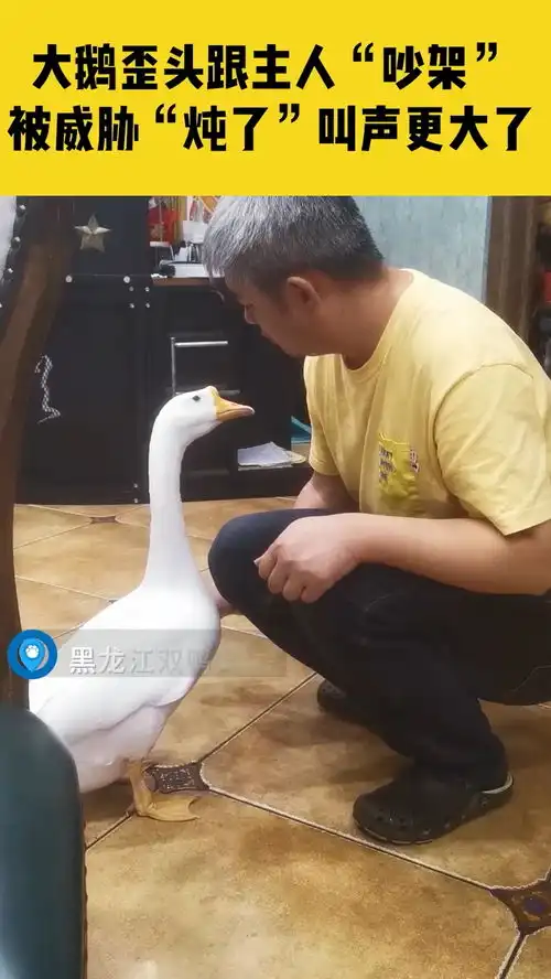 笑出鹅叫声表情包女的女
