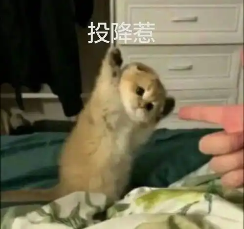 招商银行信用卡怎么才能办理分期呢