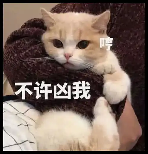 表情4张羞人表情包,尤其是最后杀伤力极强,能不能得手就靠它了表情