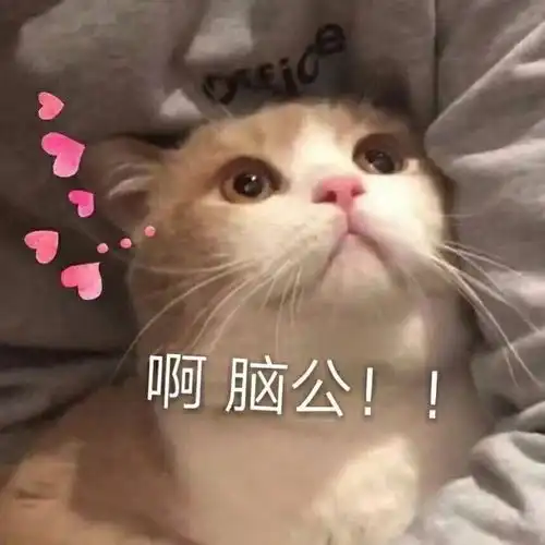 表情包你已成功激活你的小宝宝