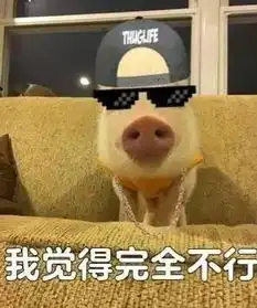 你知道我觉得还ok这个梗么简直是中国有嘻哈被黑的最惨的一次