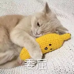 身高对男生真的很重要吗这位男孩子说的太棒了