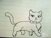 简笔画之一只会笑的猫咪