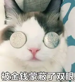 给钱猫咪的表情包