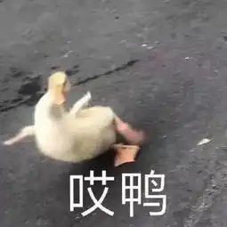 范冰冰疑似怀孕,和李晨分手似另有隐情另一当事人竟是德基集团董事长吴铁军