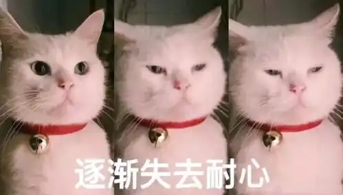 工大人,醒醒吧,假期快到头了