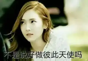 求少女时代抽风图,越多越好