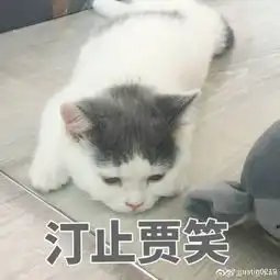 组图justin穿皮衣撸猫演绎反差萌配可爱表情包欢脱又搞怪