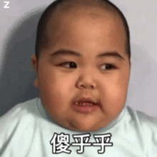 tantan可爱表情包动图合集我就不,我要把你活活气死