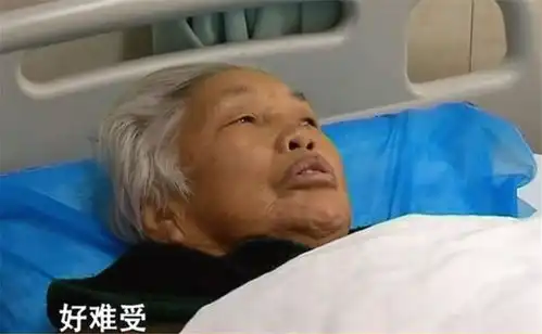 回顾8旬老太住鸡窝,跪求8个女儿给她养老,女儿谁叫你不生儿子