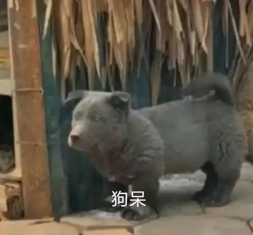 u早报高情商授课最后一周