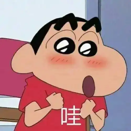 蜡笔小新斗图表情包犯错