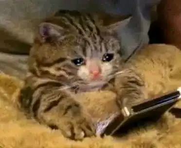 流泪猫猫头表情包