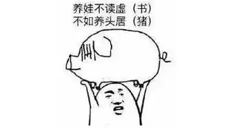 毕业第81天分享