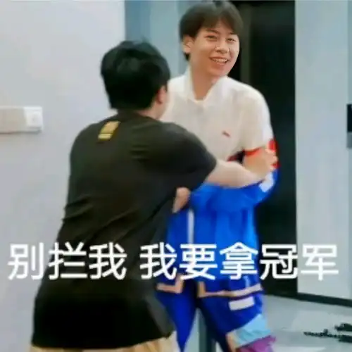 kpl顶流们的表情包无畏九尾钎城葛大爷fly清清