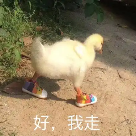 精选20个日常沙雕表情包,来收图吧,即使听着苏喂,也心如止水