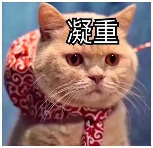 男子捡到一只橘猫,把它放到鸭场里,第二天来看时直接傻眼了