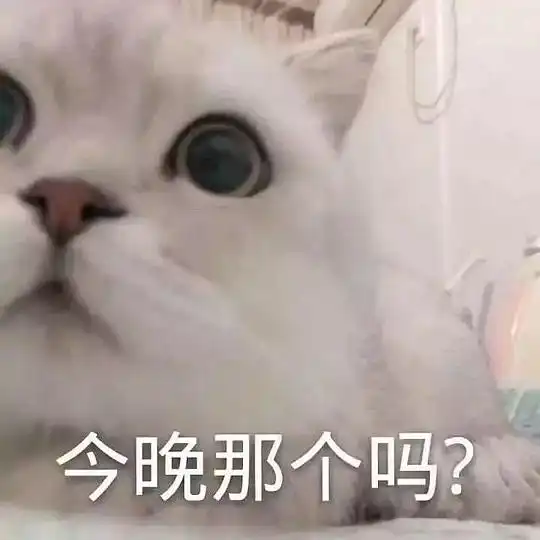 玫瑰花表情包图片