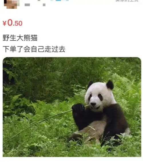 1.11元网购野生大象200天后自己走上门律师分析