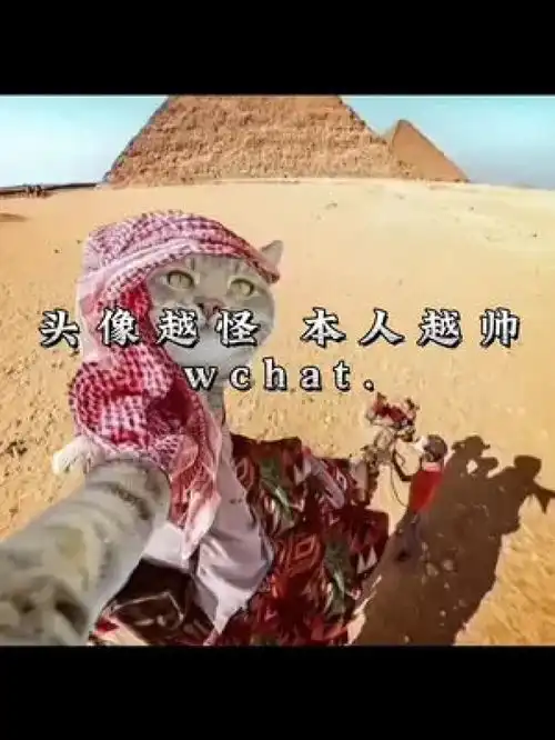 艾特你列表第一帅第一美来换头像优质头像男生头像高级感头像女生头像