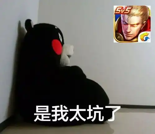 表情包丨我的游戏人生