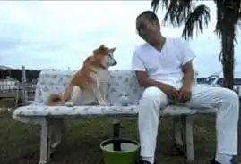 心太累了谁叫我有一个这样猥琐的主银