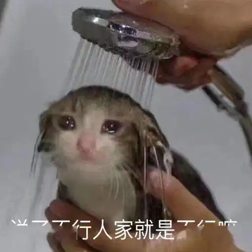 久等了,你们要的自动猫砂盆评测横空出屎了