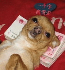 小爱萌萌哒gif表情包卡