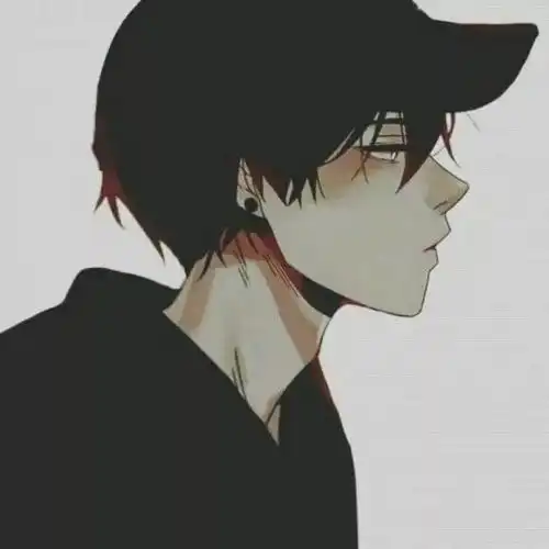 二次元动漫男头网课我真的听不进去,网恋我可以试试
