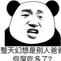 我是白痴的表情包