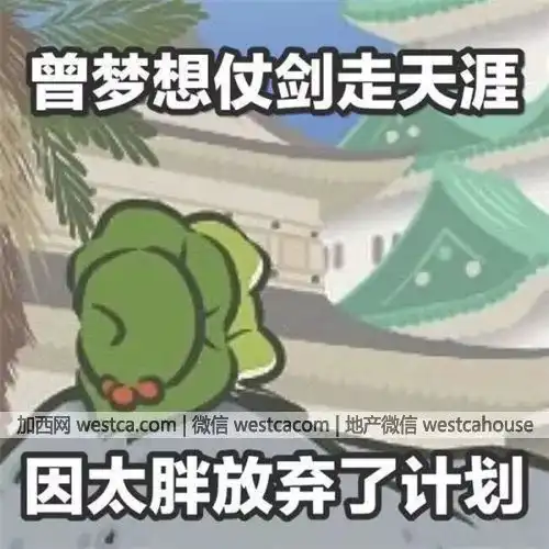 加国移民三代佛系蛙谁最有出息中国二代移民最傲娇