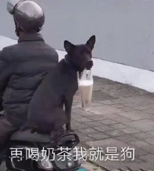 可爱沙雕微信表情包你要去洗澡去吧去吧