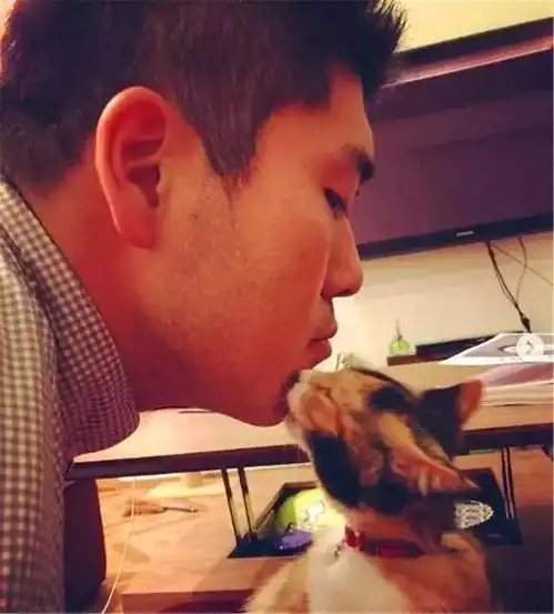 女生捡回流浪猫,犬派男友表示绝不会撸猫,可一月后却沦为猫奴