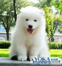 2helen02097的时尚图片yoka时尚空间