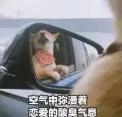 同样是钢铁直男,凭什么他和女朋友感情那么好