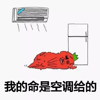 你关心的天气预报来了那年今日,7月15日大事记信息