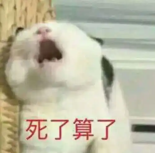 结婚是必需品吗