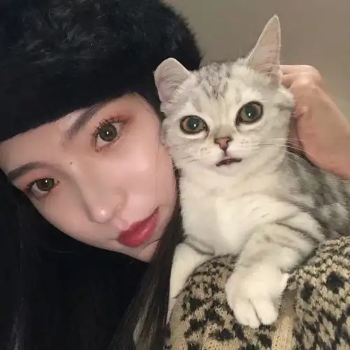 男生抱猫咪头像图片抱抱