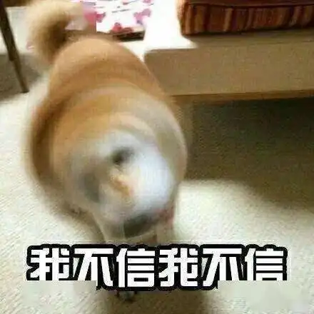 俺妹黑猫表情包盟军