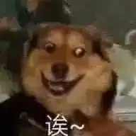 狗头像男生专用版沙雕天