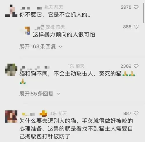 事发上海街头因女友逗猫被抓伤,男子竟直接乱棍将猫打死