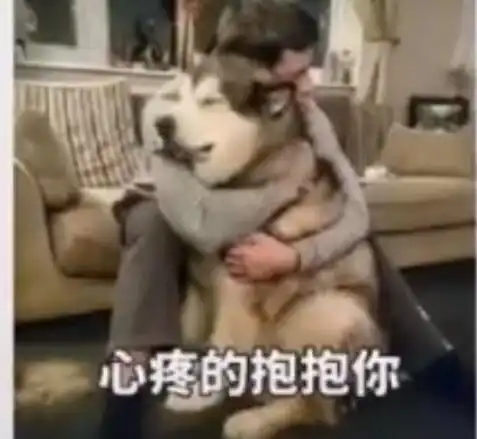 很难受,因为自己剪了短发,到处被问性取向甚至问我性别,短发女生怎么你们了