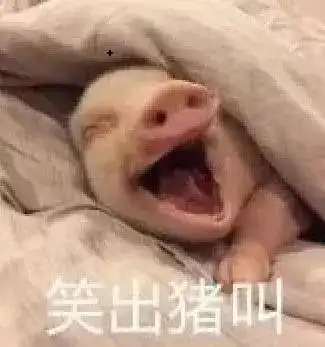 上海宁,坐这些航班可以连wifi上网啦