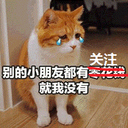 那些猫咪花样翻车的集锦好奇心害死猫,真的不是说说而已......
