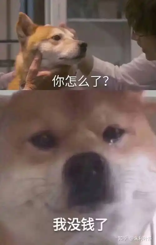 有哪些憨憨朋友圈文案让人看一次笑一次