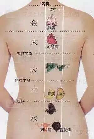 养生