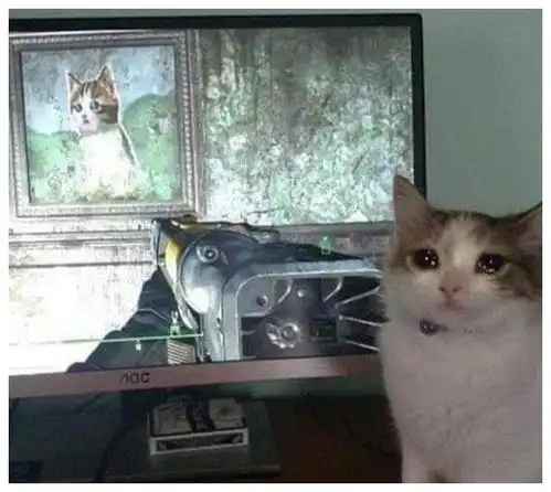 毛晓彤流泪猫猫头为什么会上热搜大家如何评论的