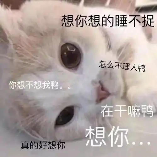 表情包你表情包太多,不想和你聊了